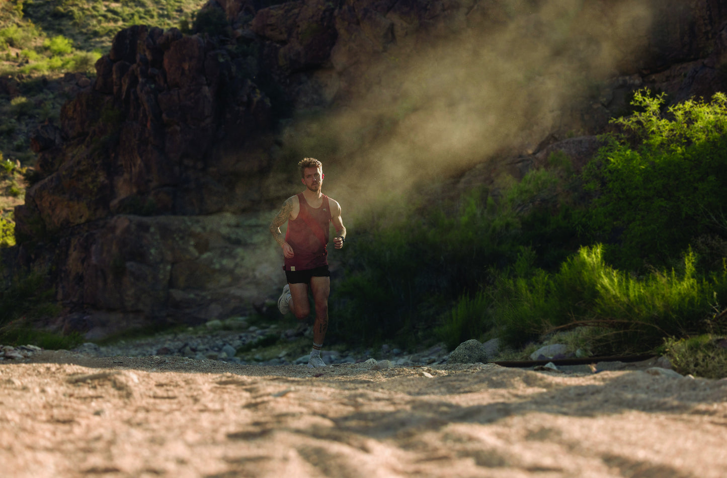 Garmin Forerunner 955 Solar Black (010-02638-00) by Garmin