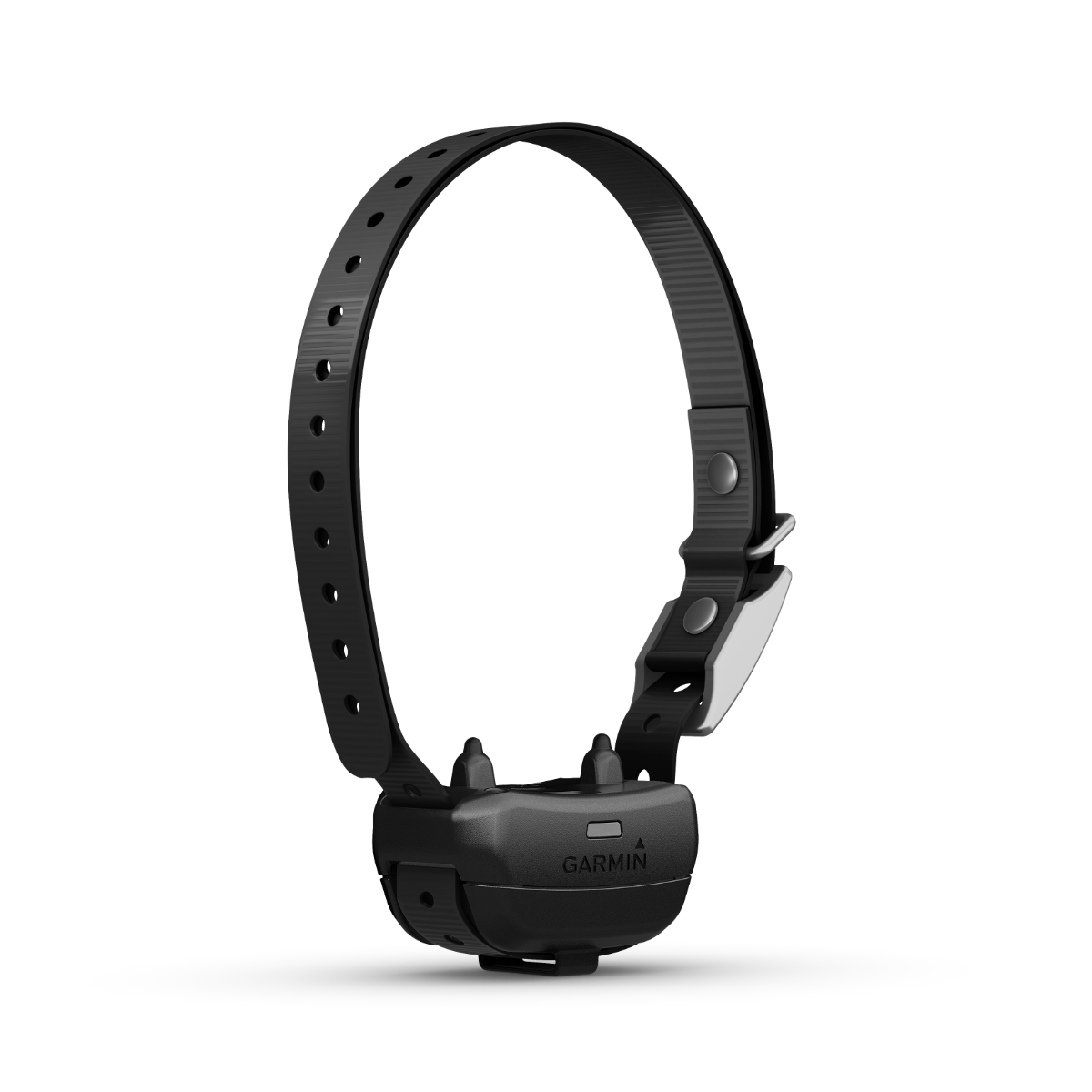 Garmin Delta SE dog training collar, black adjustable strap with metal buckle