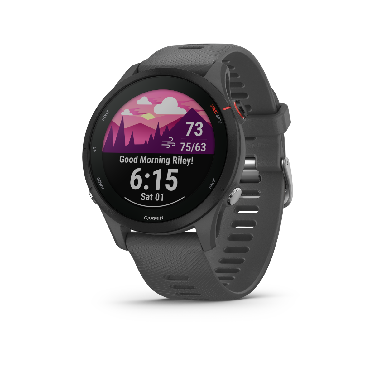 Garmin Forerunner 255, Slate Gray, Premium Fitness GPS Smartwatch for Runners (Garmin Certified Refurbished) by Garmin