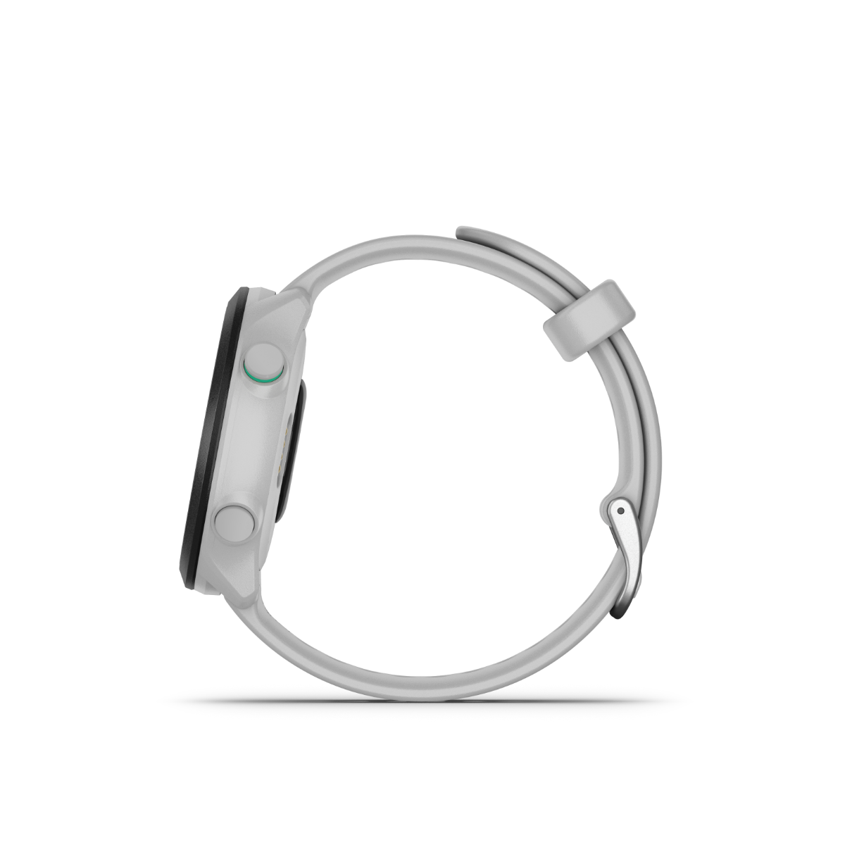 Garmin Forerunner 55, White, GPS Fitness Smartwatch (010-02562-01) by Garmin