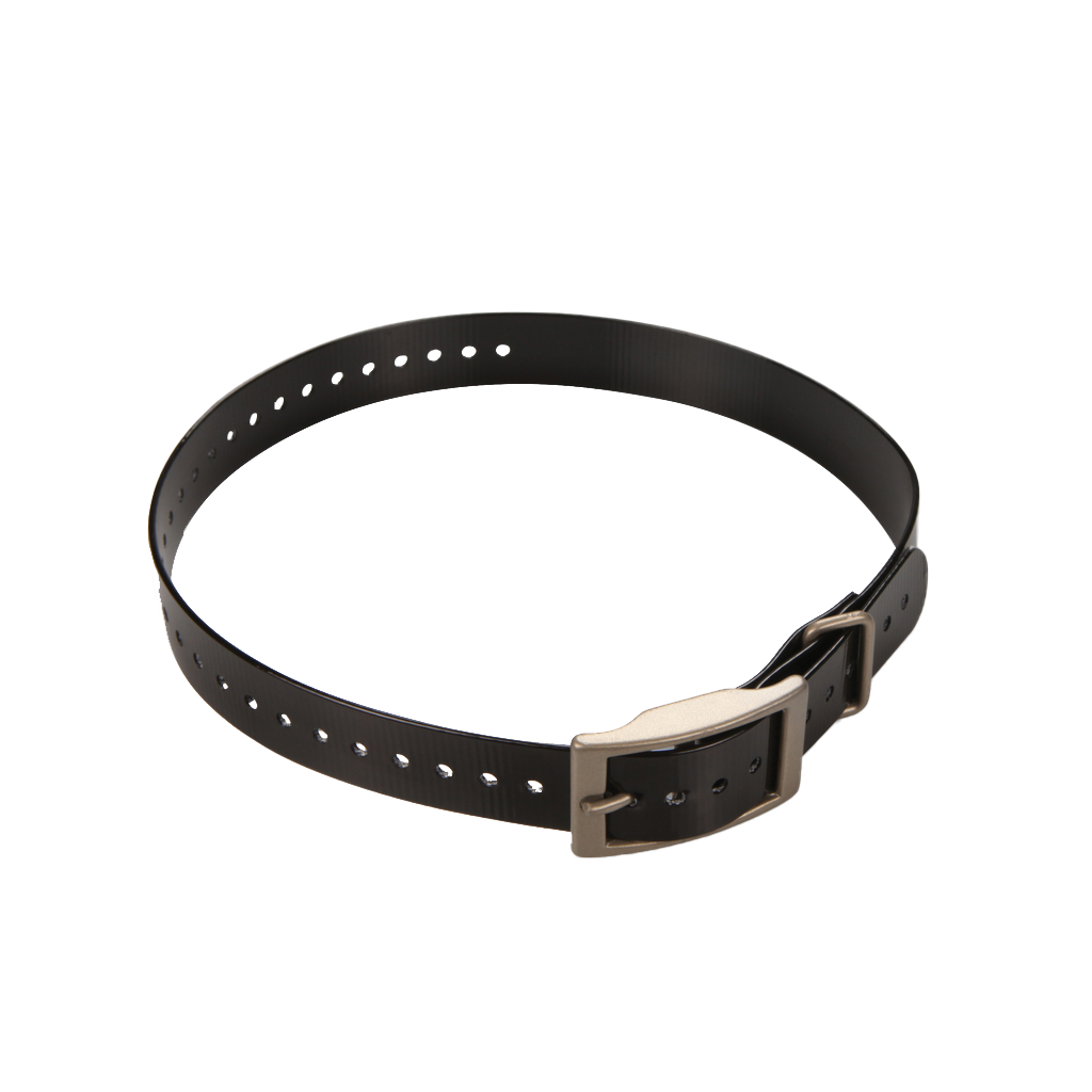 Garmin 1-inch collar strap, black with bronze-tone square buckle