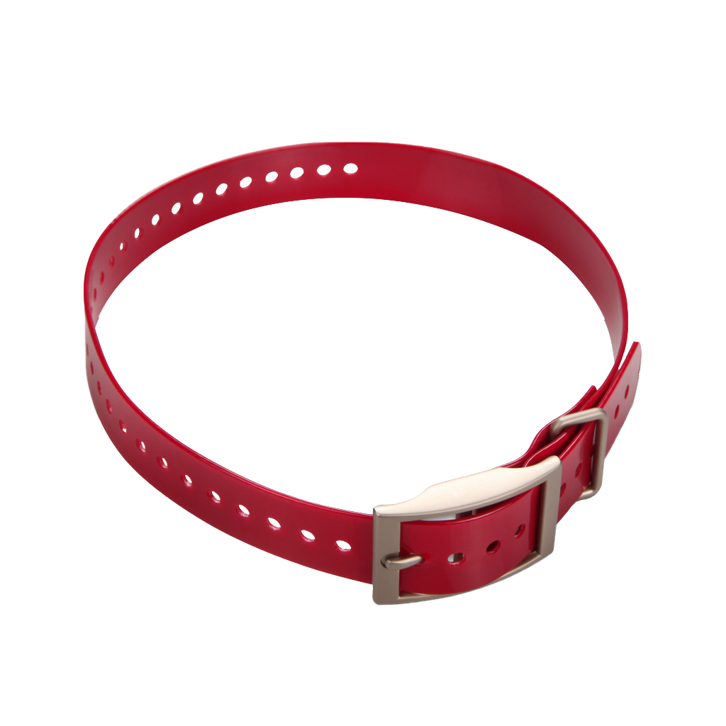 Garmin 1-inch red collar strap with square buckle, pet collar accessory