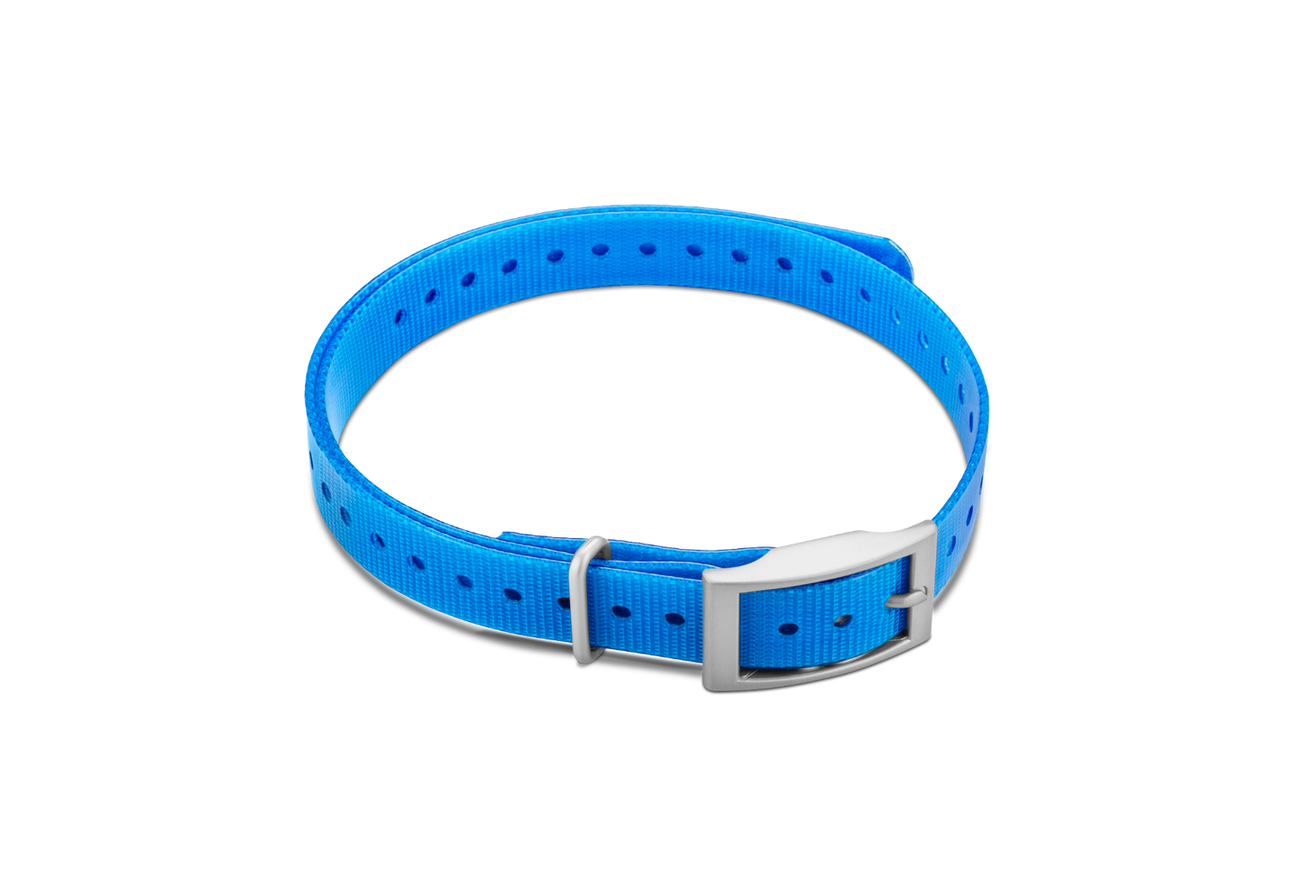 Garmin 3/4-inch Collar Strap, Blue, Square Buckle (010-11870-06) by Garmin