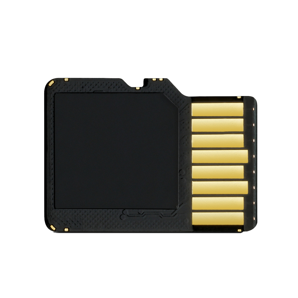Garmin 8 GB microSD Card with SD Adapter (010-10683-06) by Garmin