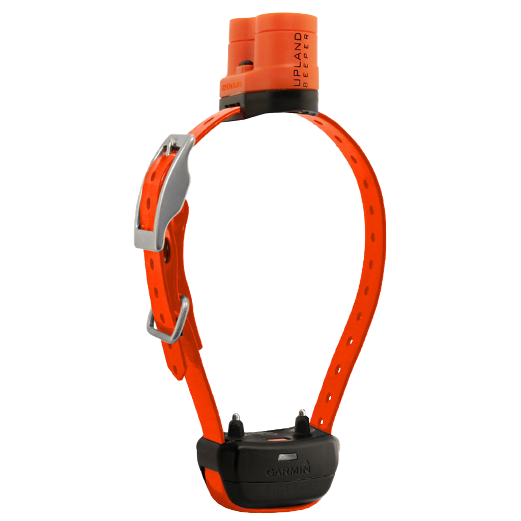 Garmin Delta Upland XC dog training collar with orange strap and black receiver