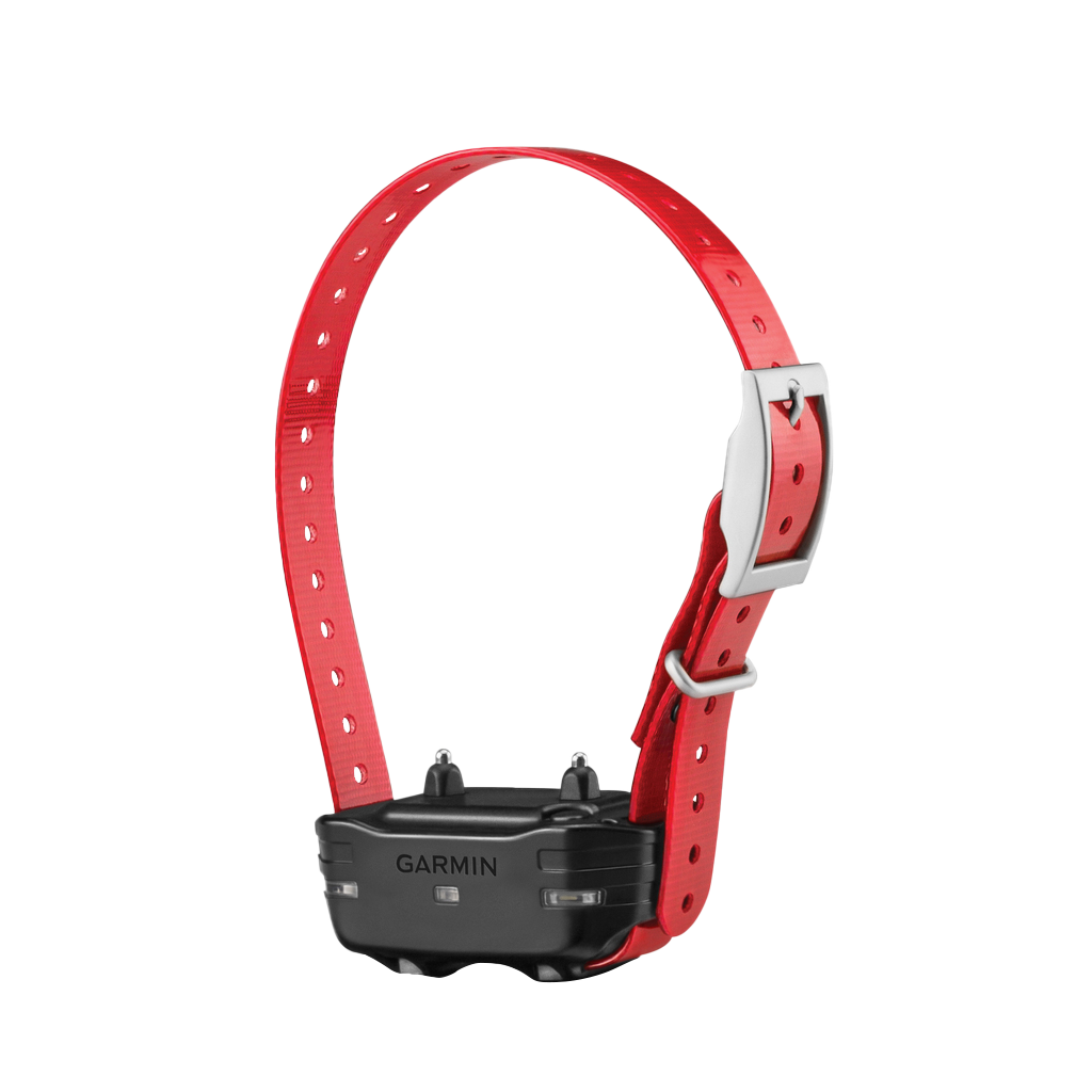 Garmin PT 10 Dog Device (Red Collar Strap) by Garmin