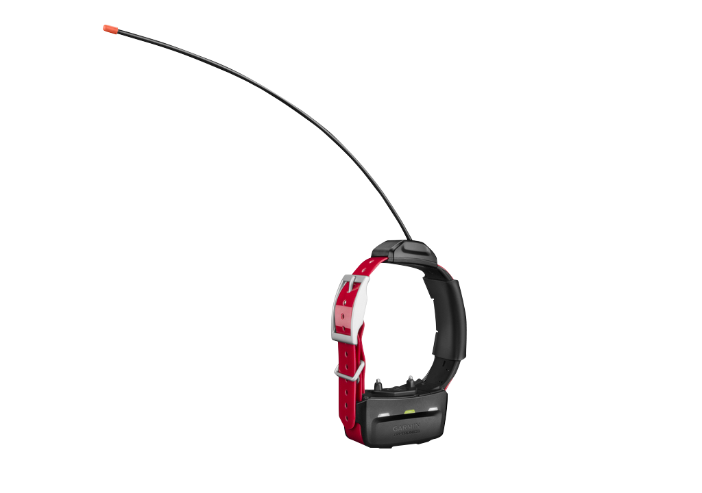 Garmin TT15 Mini dog device on red collar with curved antenna