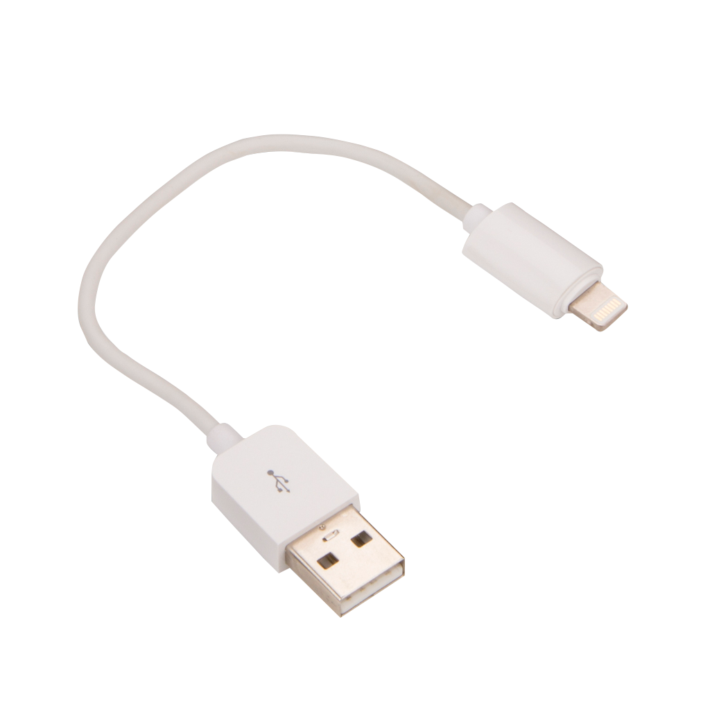 Garmin USB Type-A to Apple Lightning Adapter Cable by Garmin