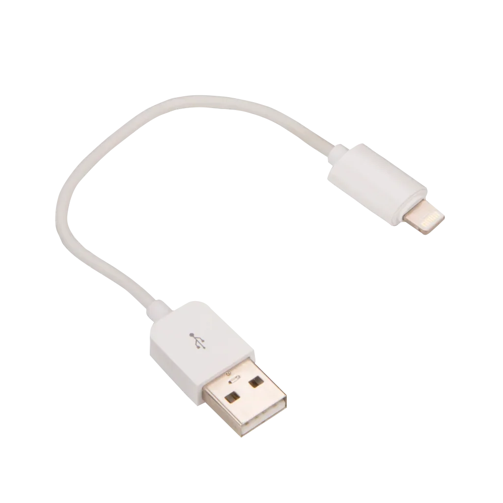 Garmin white USB Type-A to Apple Lightning adapter cable