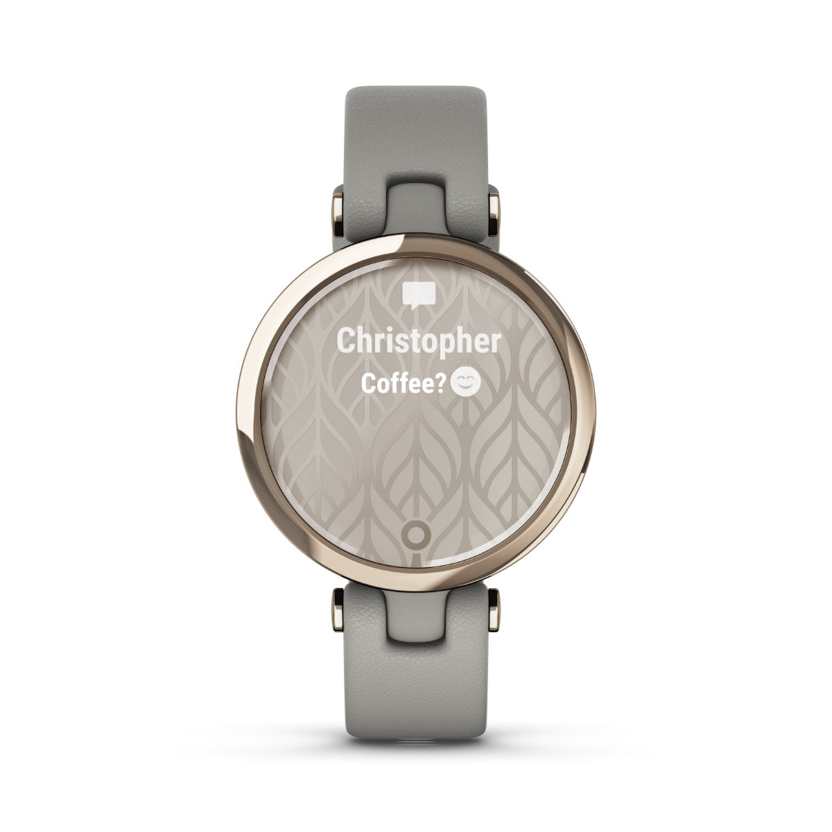 Garmin Lily Classic Edition, Cream Gold Bezel with Braloba Gray Case and Italian Leather Band (010-02384-A2) by Garmin