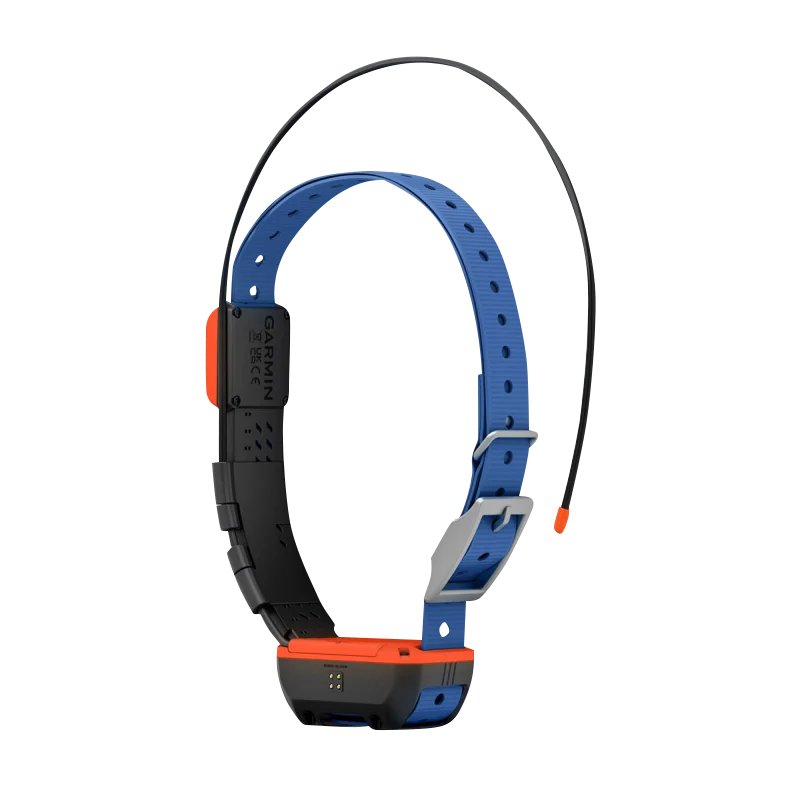 Garmin Alpha T 20 dog collar with blue strap and orange GPS module