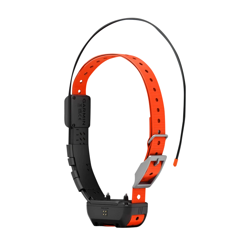 Garmin Alpha TT 25 dog collar, GPS tracking and training collar with orange strap