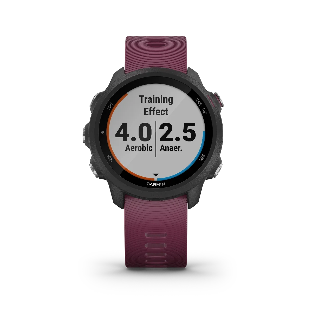Garmin Forerunner 245 Berry GPS smartwatch with burgundy strap