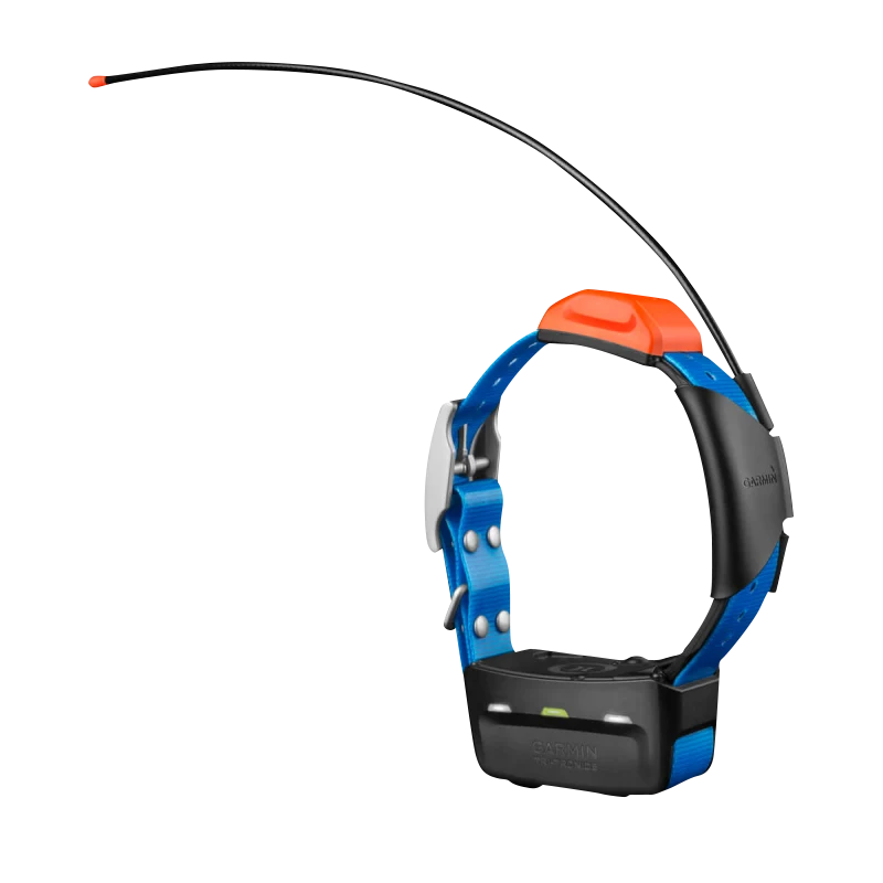Garmin T5X dog collar with blue strap and orange module, GPS tracking collar