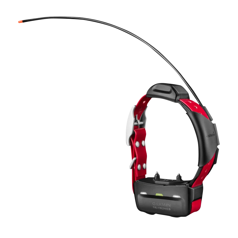 Garmin TT 15X dog collar, red strap with black training unit and long antenna