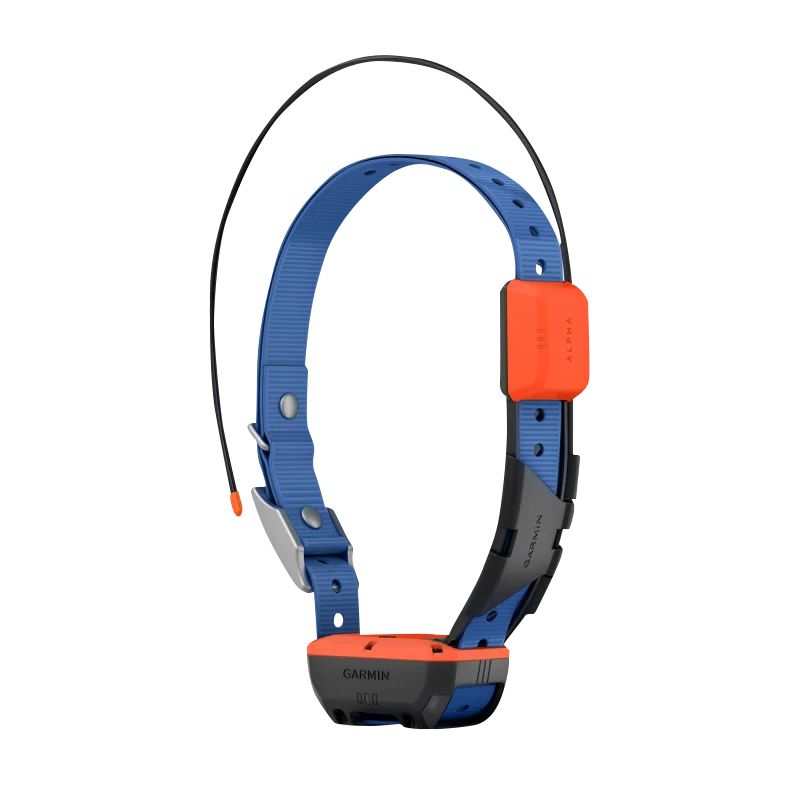 Garmin Alpha T 20 dog collar with blue strap and orange GPS module