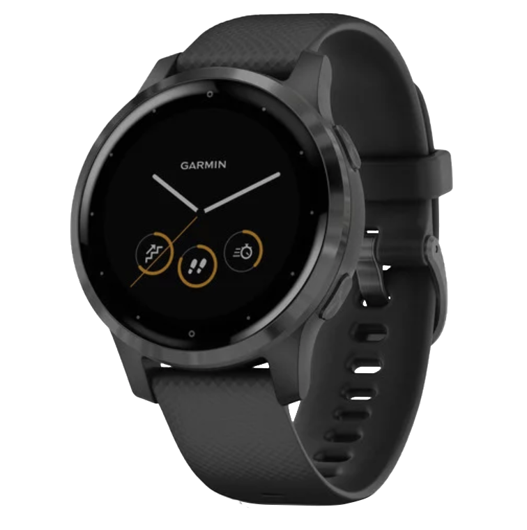 Garmin Vivoactive 4S Slate with Black Band (010-02172-11) by Garmin