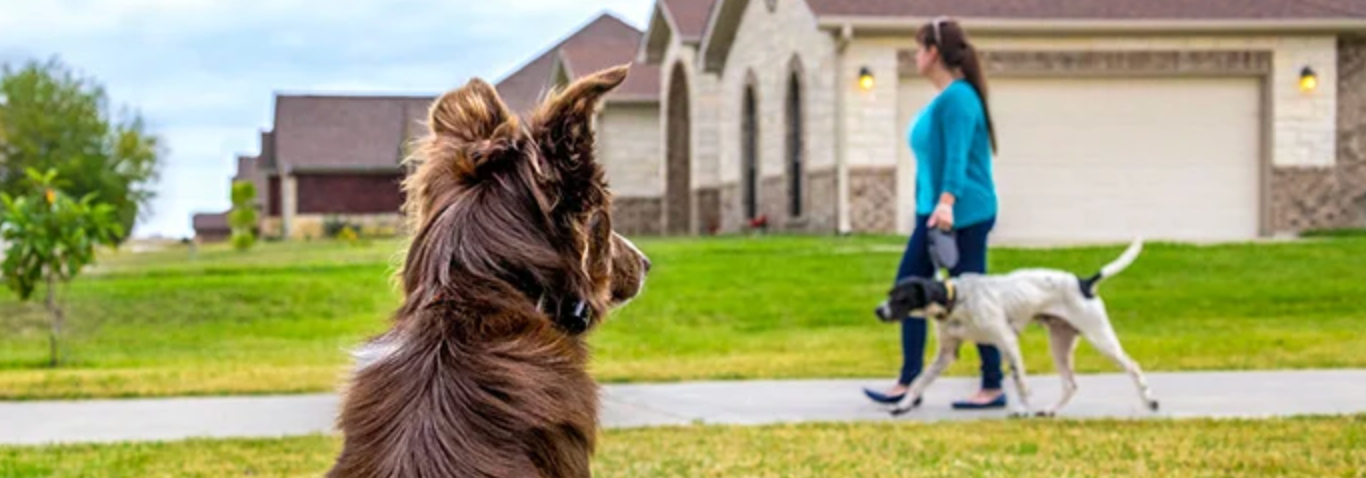 Garmin Barklimiter Series