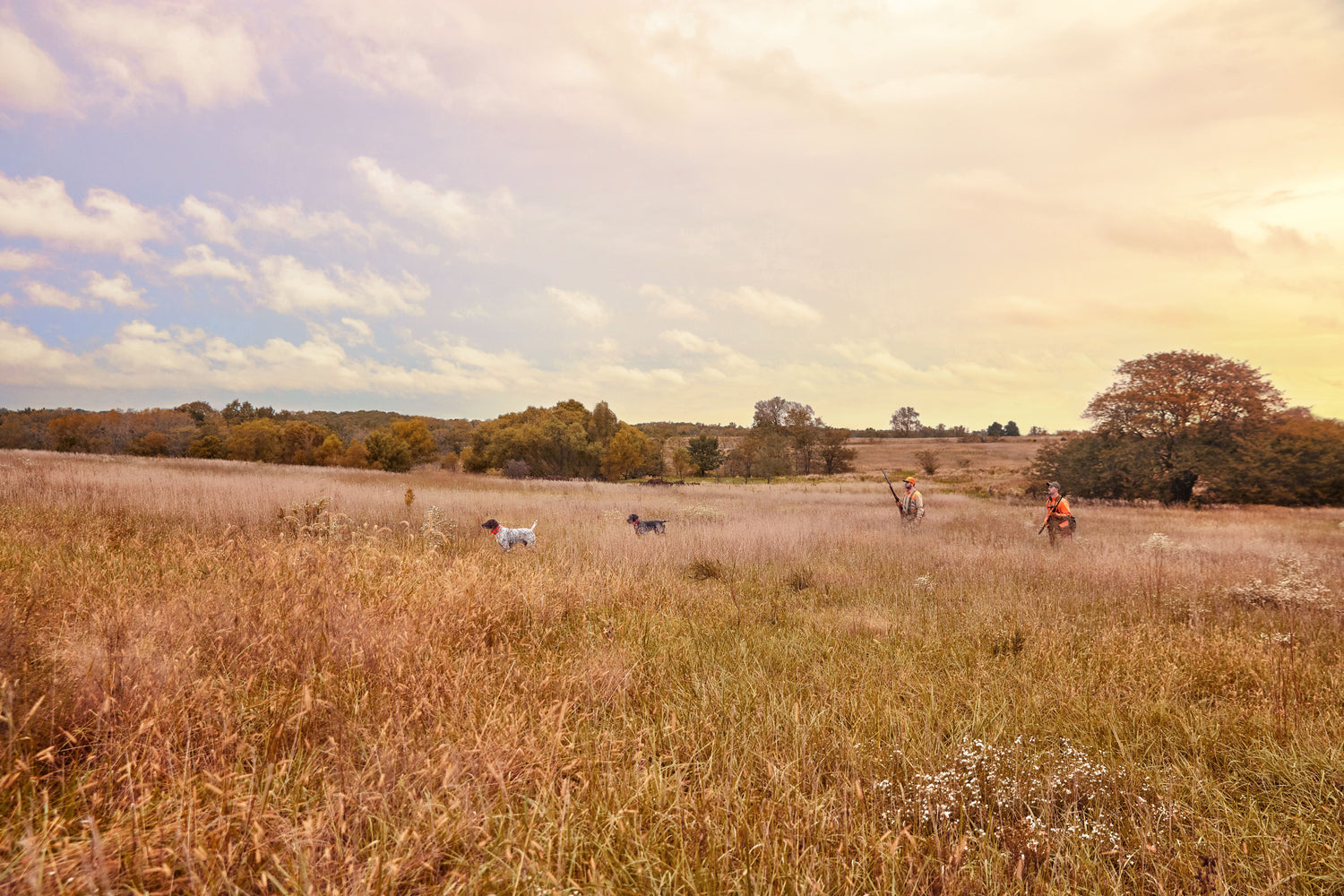 Explore the outdoors with Garmin Alpha Dog Track and Train GPS Series Equipment, perfect for hunting dog safety and training.