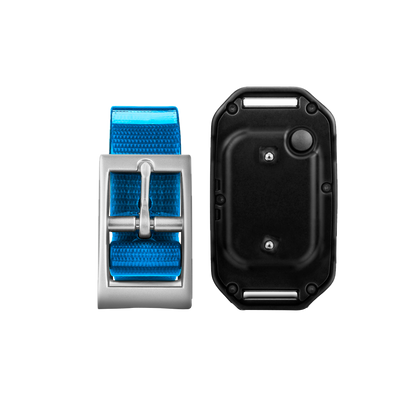 Garmin PT 10 Dog Device (Blue Collar Strap) by Garmin