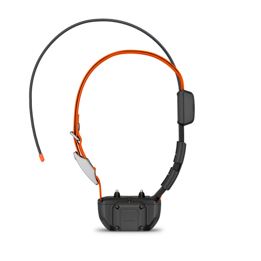 Collar para perros Garmin Alpha TT 25, collar de adiestramiento y seguimiento GPS para perros (010-02447-20)