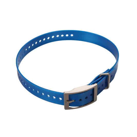 Garmin 1-inch Collar Strap, Blue with Square Buckle (010-11892-04) by Garmin