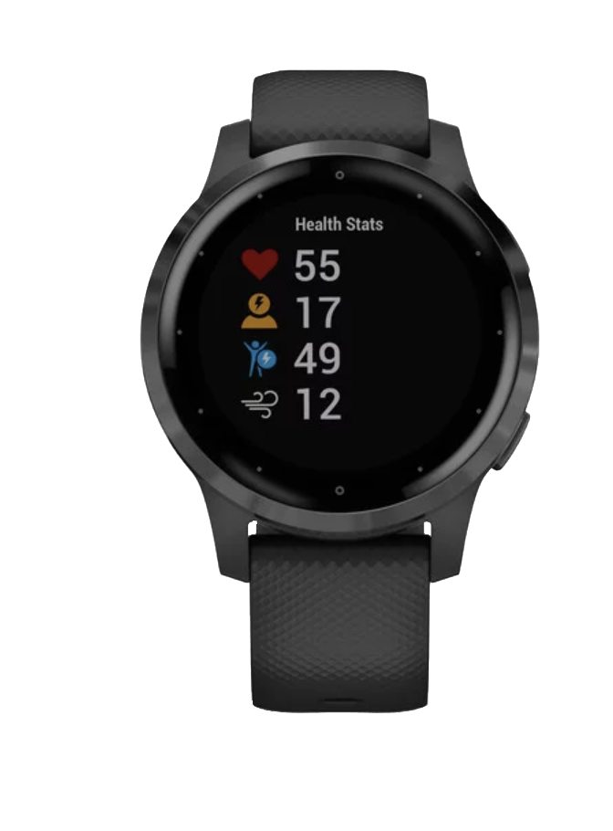 Garmin Vivoactive 4S Slate with Black Band (010-02172-11) by Garmin