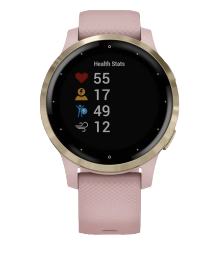 Garmin Vivoactive 4S - Light Gold with Dust Rose Band (010-02172-31) by Garmin