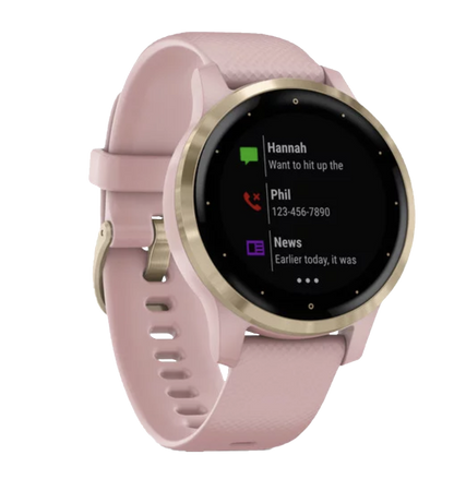 Garmin Vivoactive 4S - Light Gold with Dust Rose Band (010-02172-31) by Garmin
