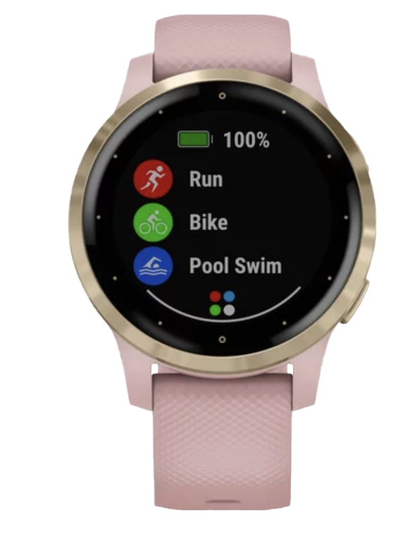 Garmin Vivoactive 4S - Light Gold with Dust Rose Band (010-02172-31) by Garmin