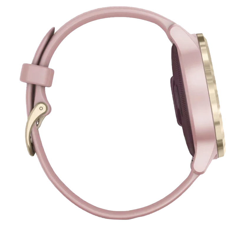 Garmin Vivoactive 4S - Light Gold with Dust Rose Band (010-02172-31) by Garmin