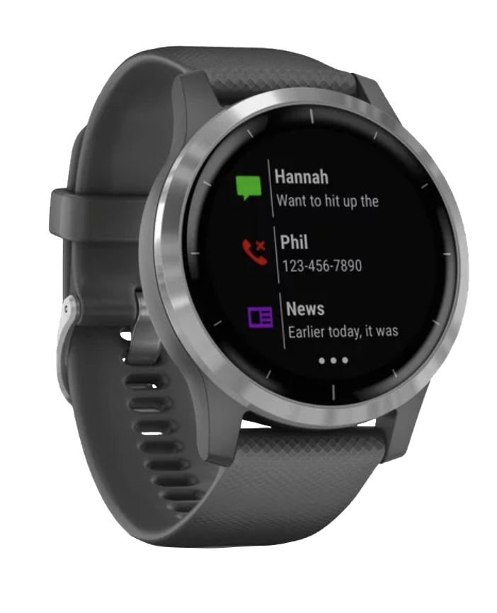 Garmin Vivoactive 4 - Silver with Shadow Gray Band (010-02174-01) by Garmin