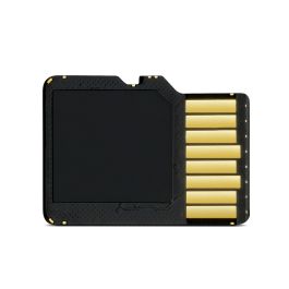 Garmin 8 GB microSD Card with SD Adapter